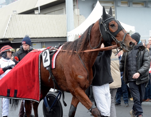 Jean Michel Bazire åker ut på Vincennes bana med världens bästa valack, Cleangame. Foto: Lars Jakobsson, TR Bild Foto av Lars Jakobsson, TR Bild